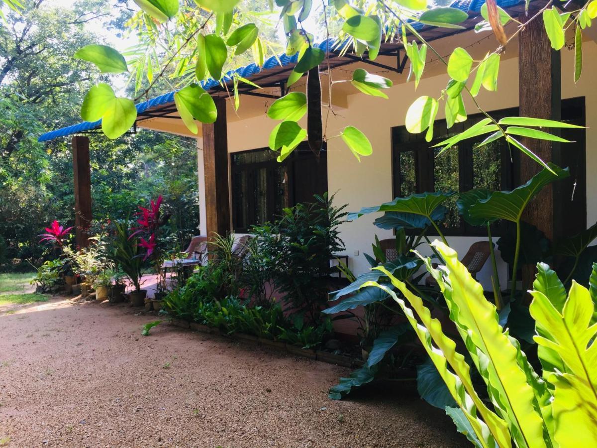 Gimansa Rest Sigiriya Apartment Bagian luar foto